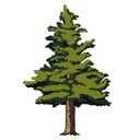 Trees for a Change